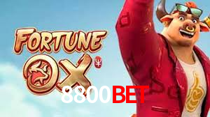 8800 bet login